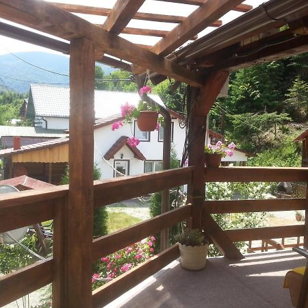 Casa Trandafirilor Hotel Cîrţişoara Buitenkant foto