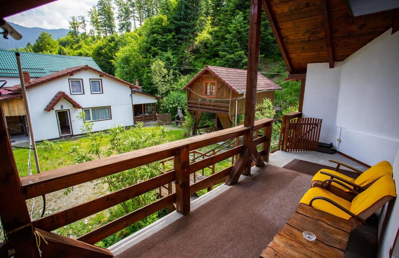 Casa Trandafirilor Hotel Cîrţişoara Buitenkant foto