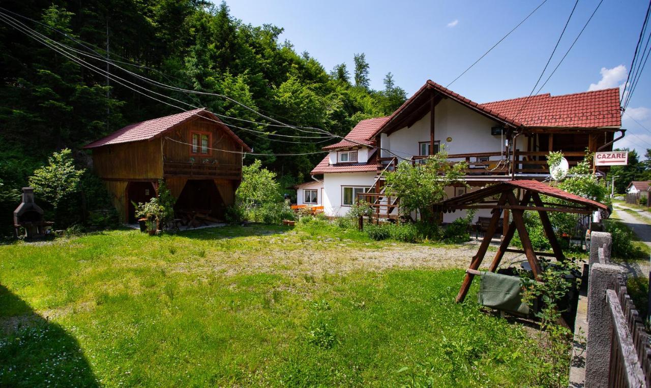 Casa Trandafirilor Hotel Cîrţişoara Buitenkant foto