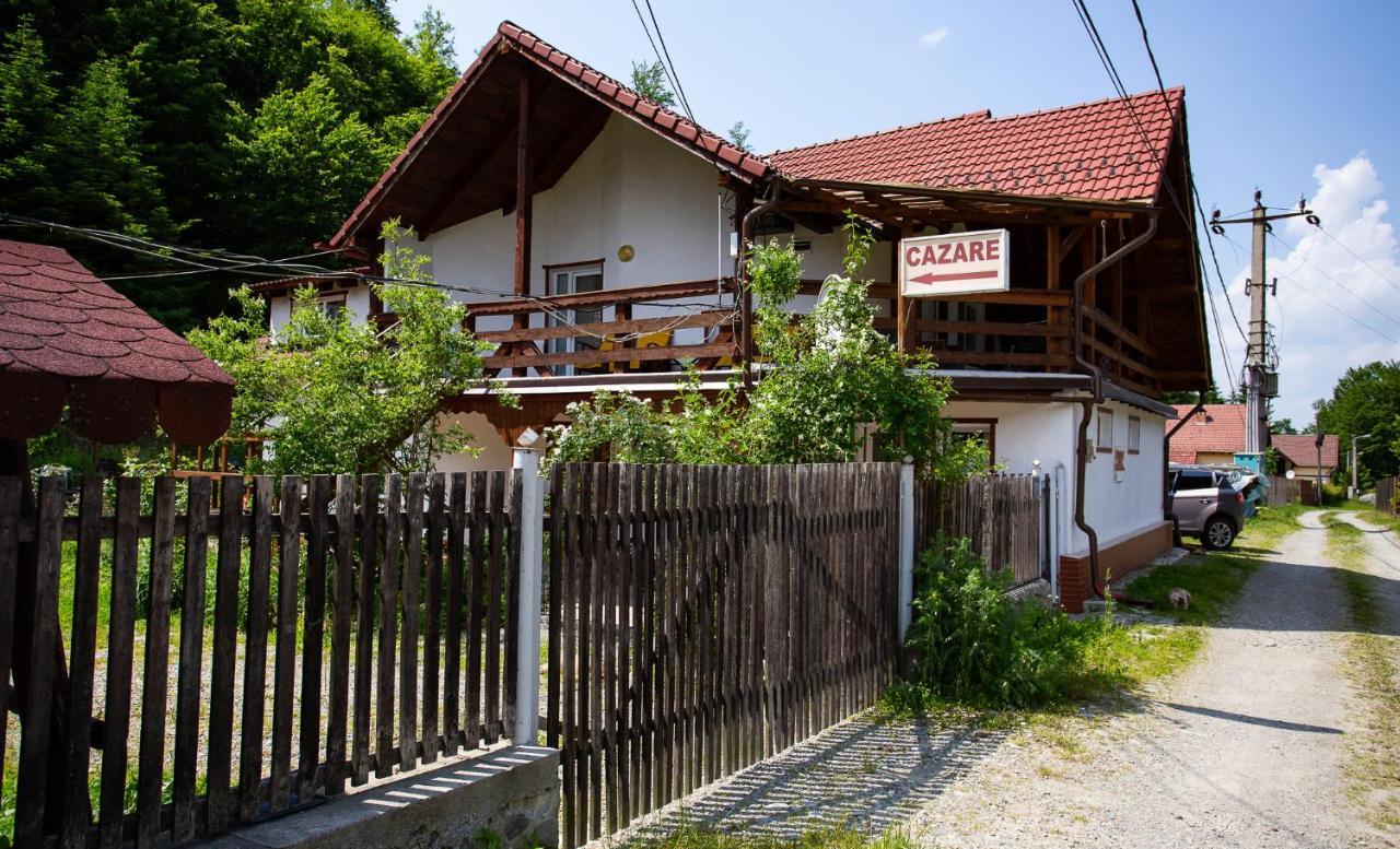 Casa Trandafirilor Hotel Cîrţişoara Buitenkant foto