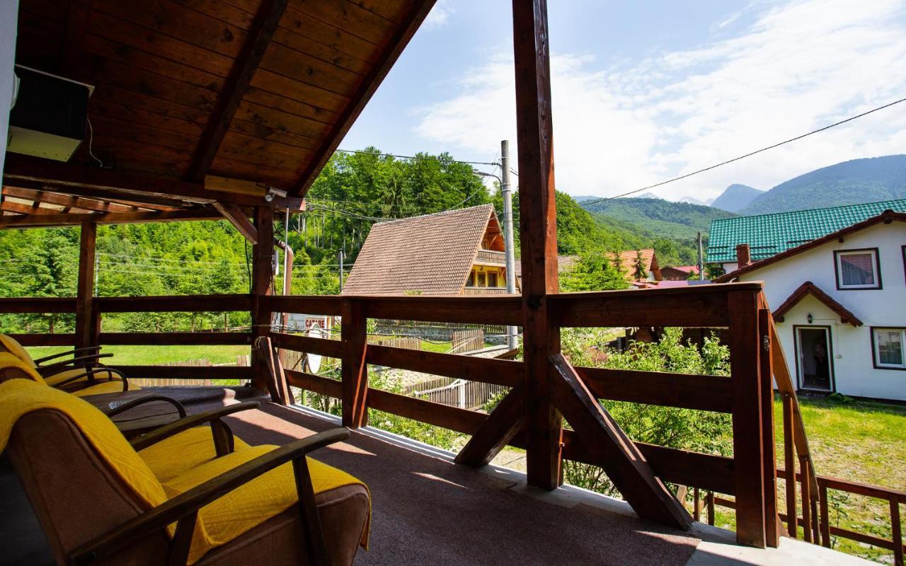 Casa Trandafirilor Hotel Cîrţişoara Buitenkant foto