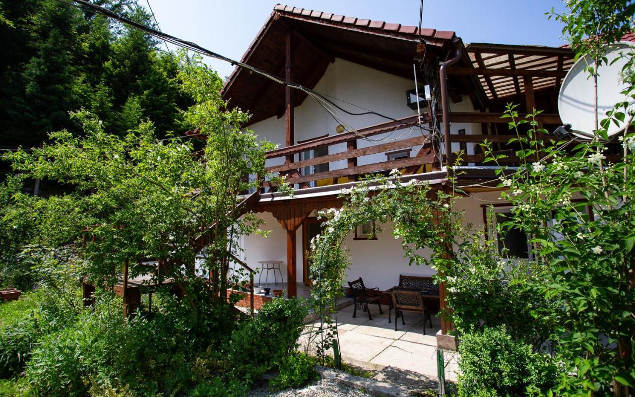 Casa Trandafirilor Hotel Cîrţişoara Buitenkant foto