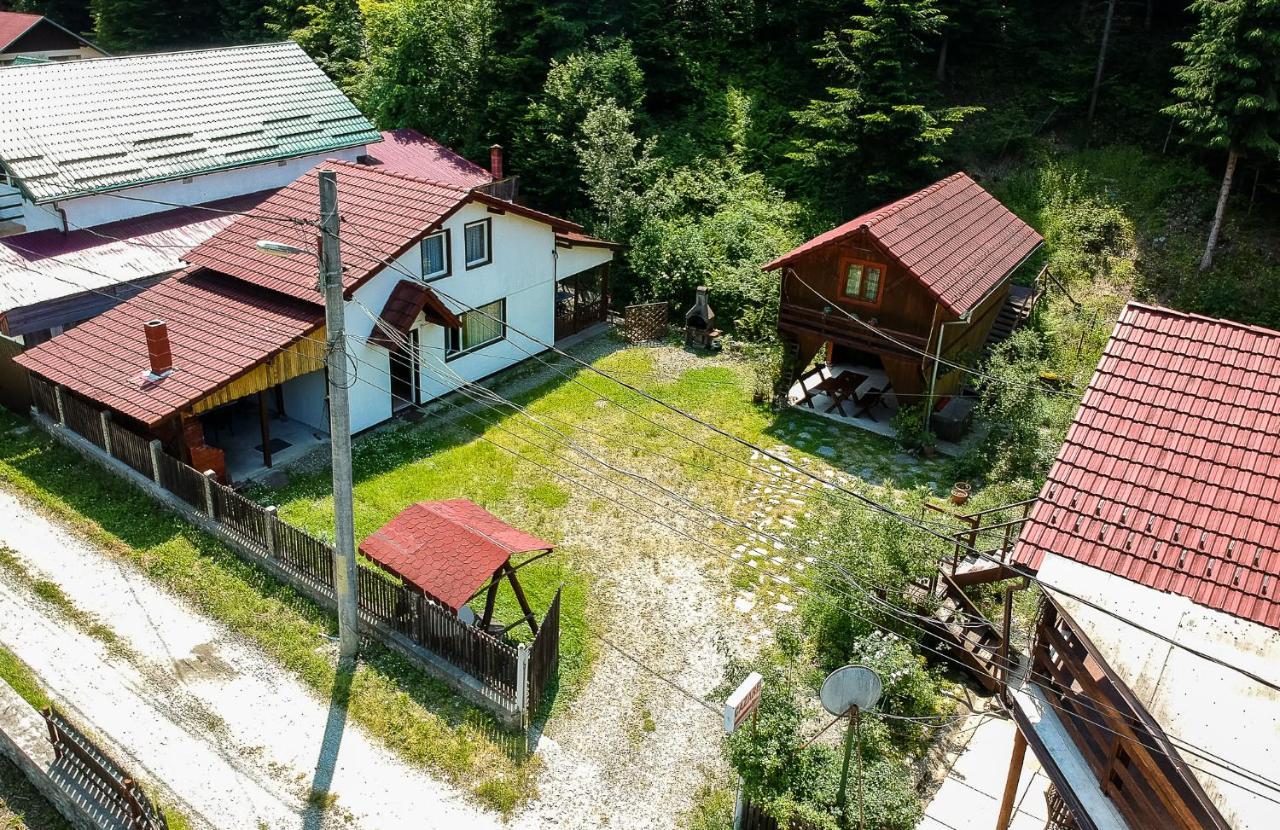 Casa Trandafirilor Hotel Cîrţişoara Buitenkant foto