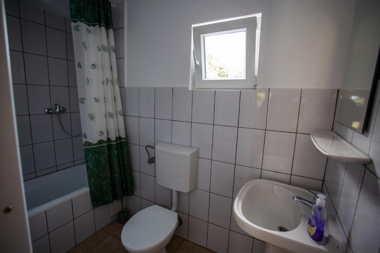 Casa Trandafirilor Hotel Cîrţişoara Buitenkant foto