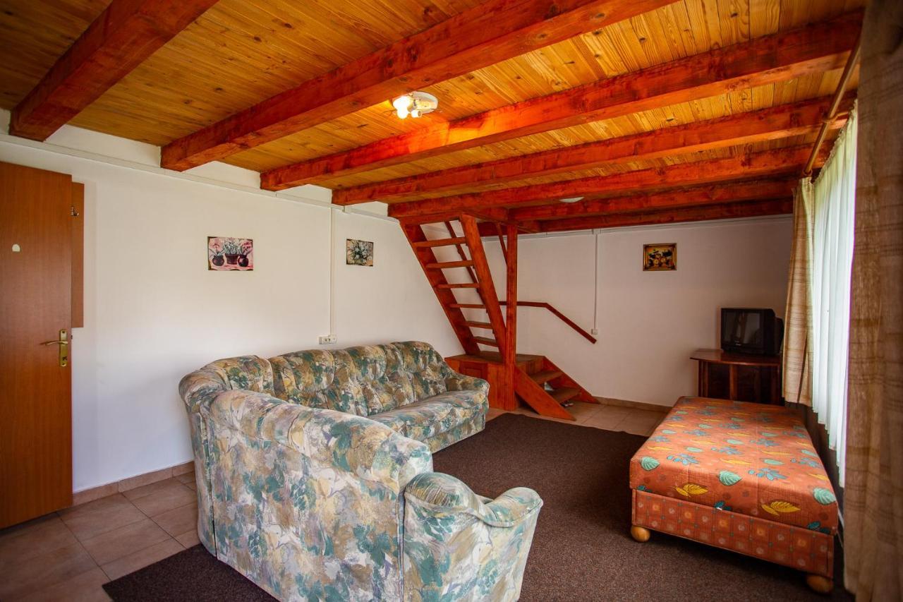 Casa Trandafirilor Hotel Cîrţişoara Buitenkant foto