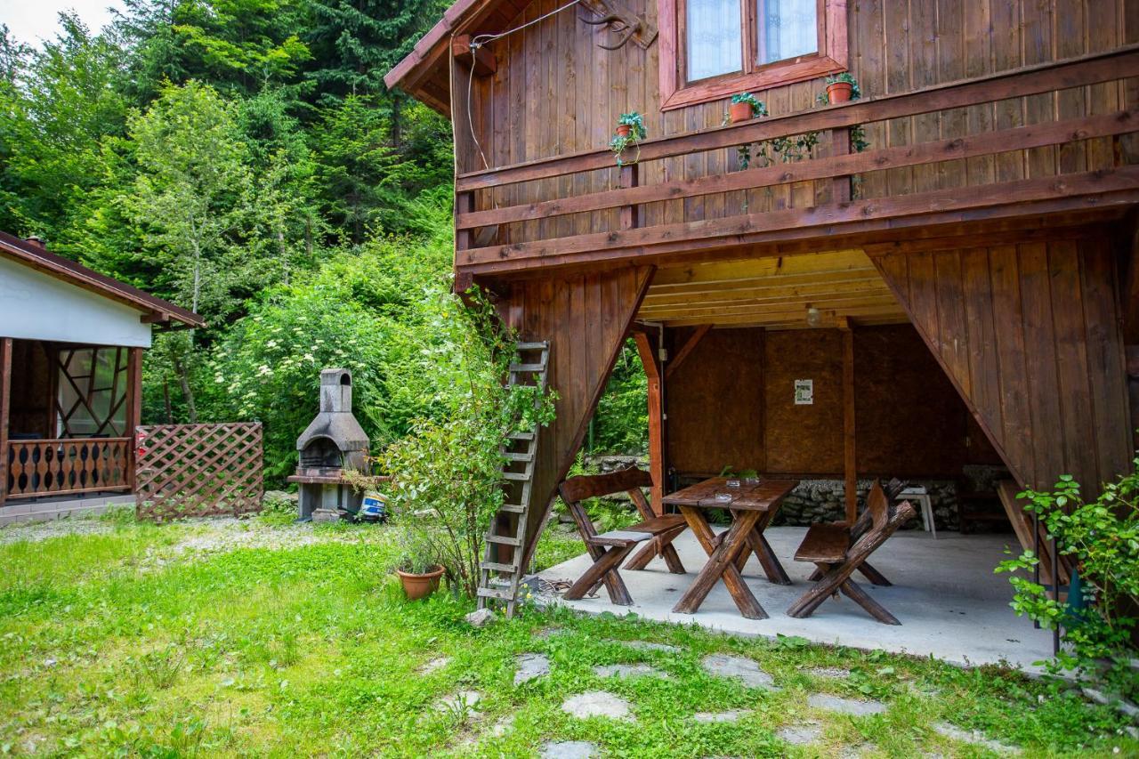 Casa Trandafirilor Hotel Cîrţişoara Buitenkant foto
