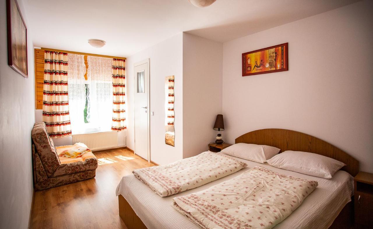 Casa Trandafirilor Hotel Cîrţişoara Buitenkant foto