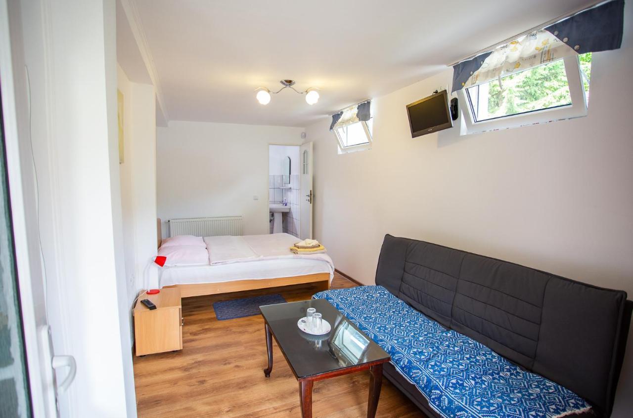 Casa Trandafirilor Hotel Cîrţişoara Buitenkant foto