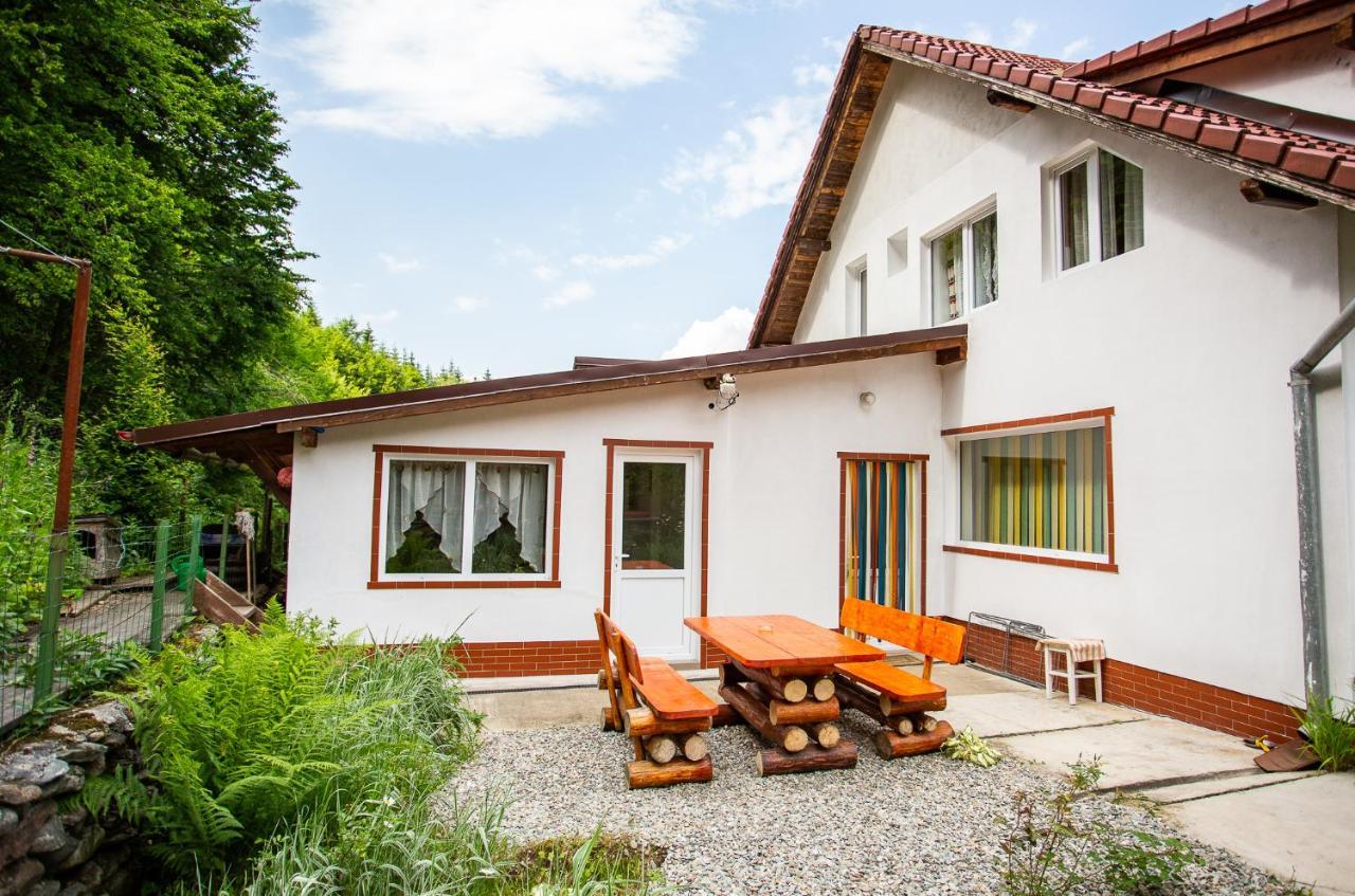 Casa Trandafirilor Hotel Cîrţişoara Buitenkant foto