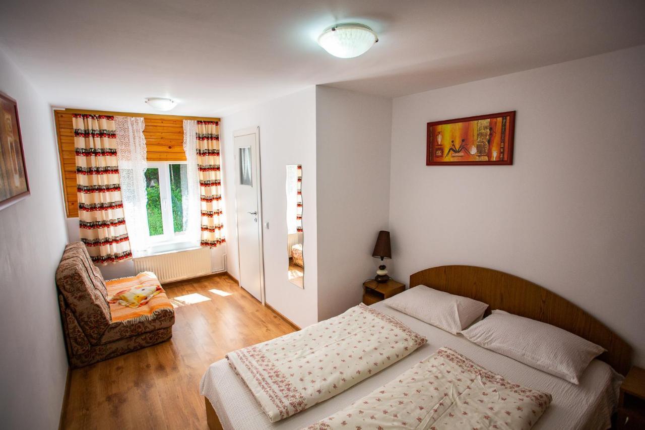 Casa Trandafirilor Hotel Cîrţişoara Buitenkant foto
