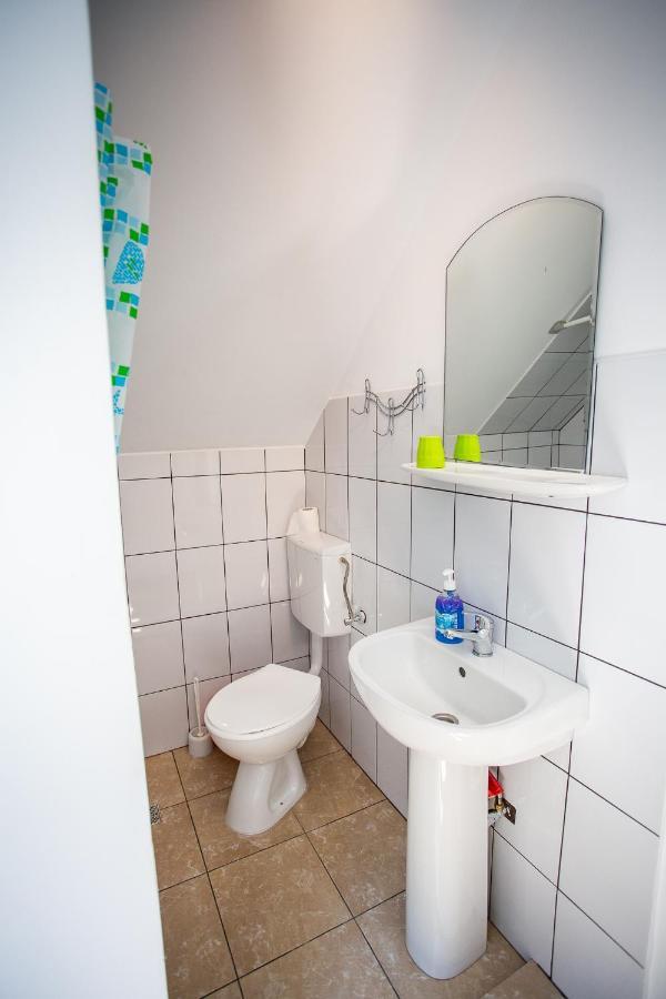 Casa Trandafirilor Hotel Cîrţişoara Buitenkant foto