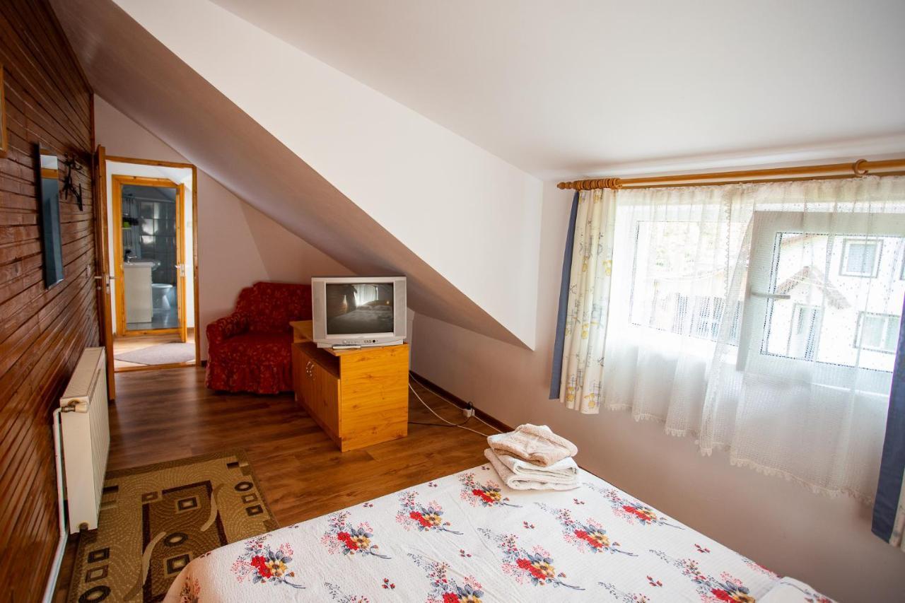 Casa Trandafirilor Hotel Cîrţişoara Buitenkant foto