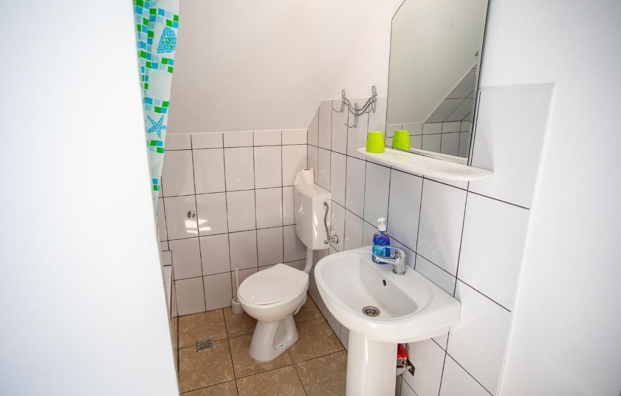 Casa Trandafirilor Hotel Cîrţişoara Buitenkant foto