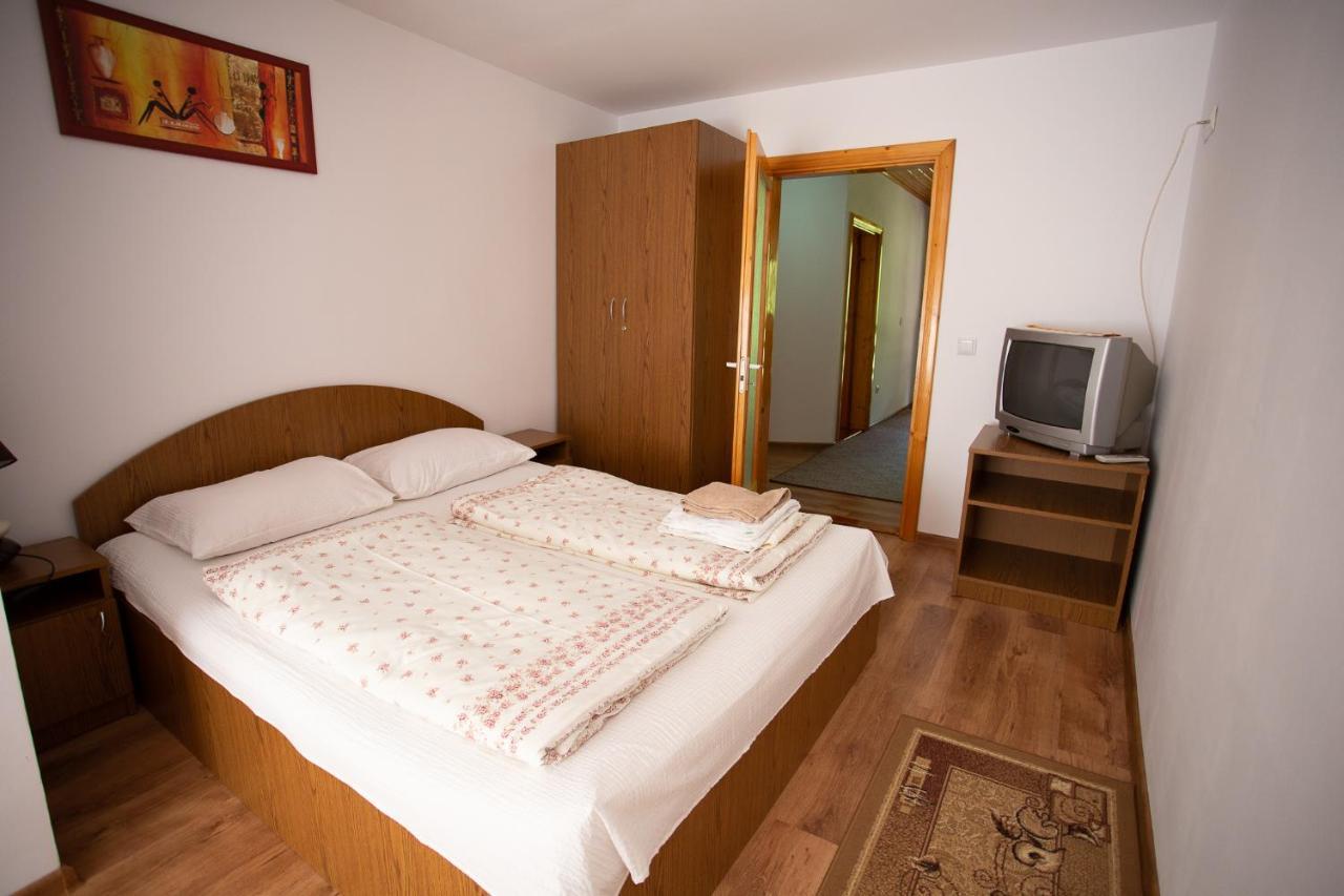 Casa Trandafirilor Hotel Cîrţişoara Buitenkant foto