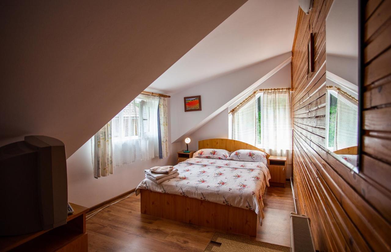 Casa Trandafirilor Hotel Cîrţişoara Buitenkant foto