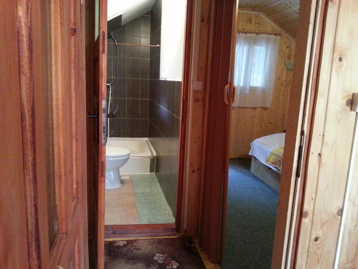 Casa Trandafirilor Hotel Cîrţişoara Buitenkant foto