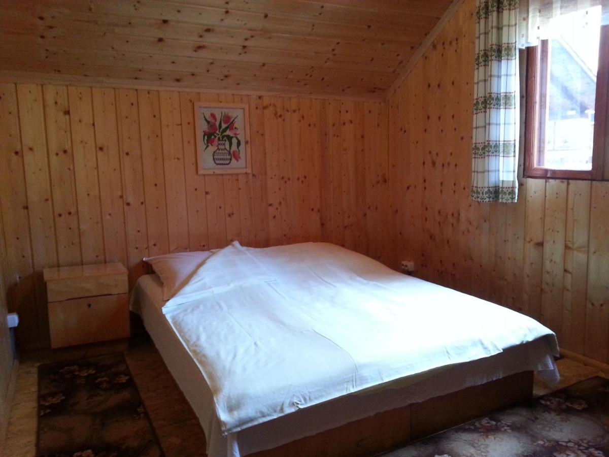 Casa Trandafirilor Hotel Cîrţişoara Buitenkant foto
