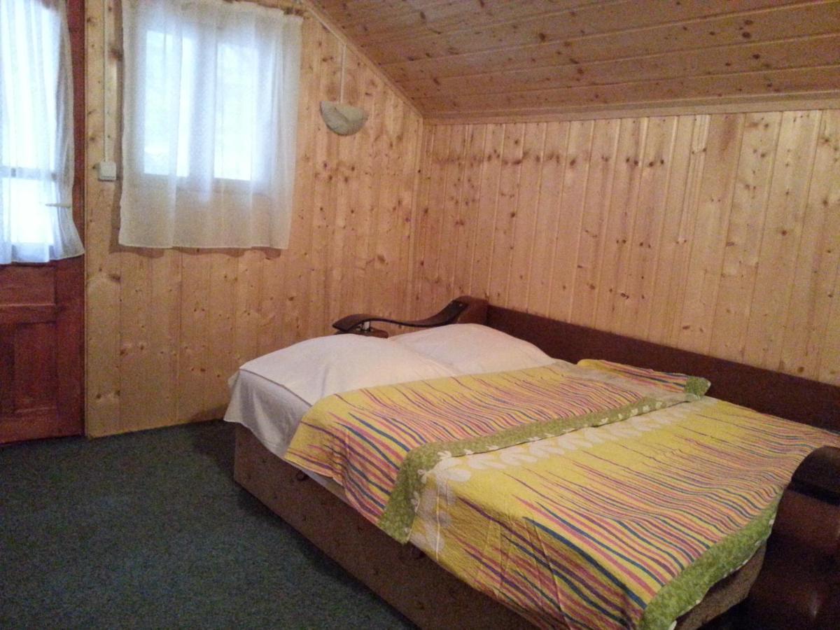 Casa Trandafirilor Hotel Cîrţişoara Buitenkant foto