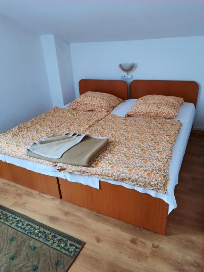 Casa Trandafirilor Hotel Cîrţişoara Buitenkant foto