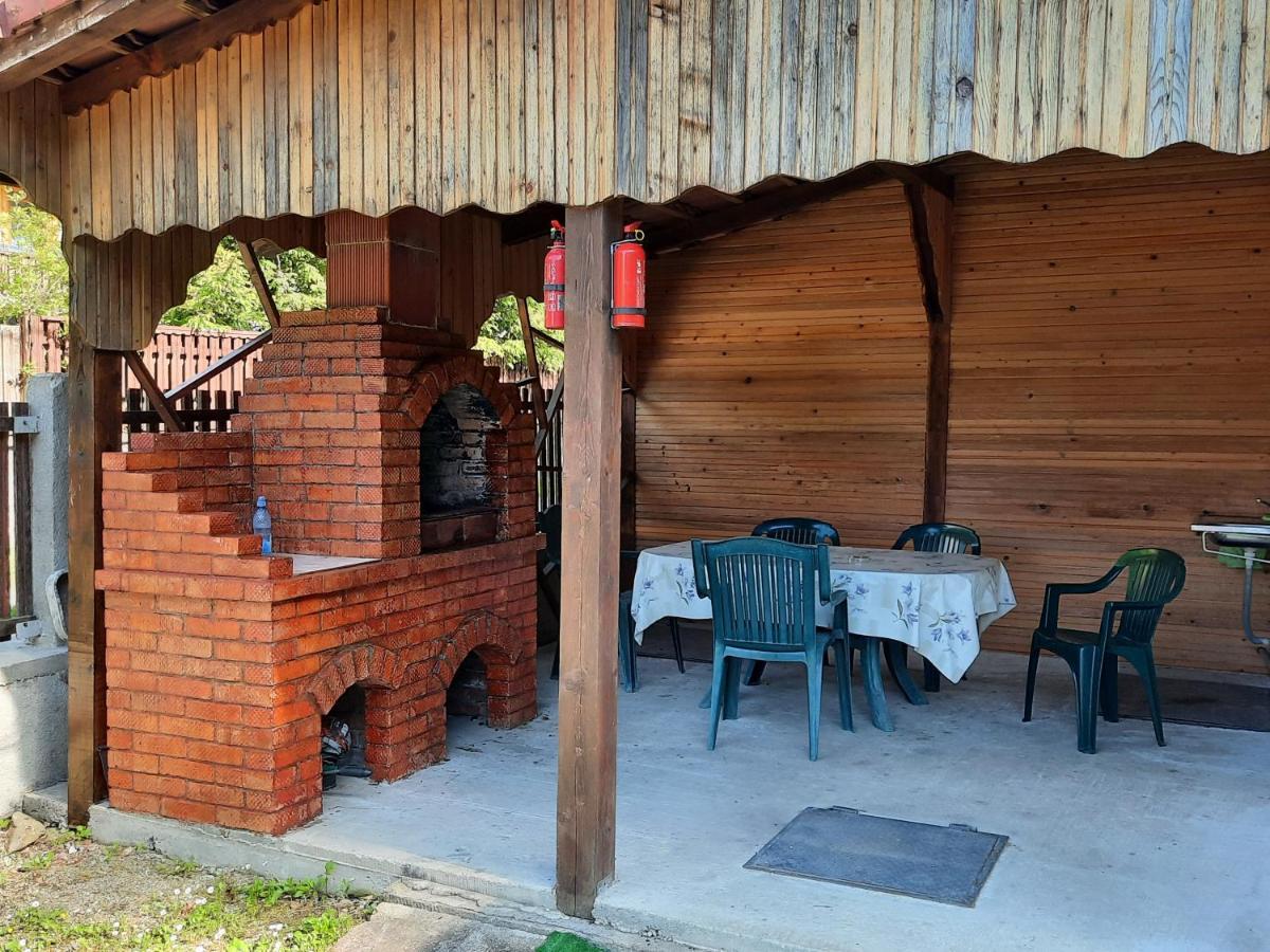 Casa Trandafirilor Hotel Cîrţişoara Buitenkant foto