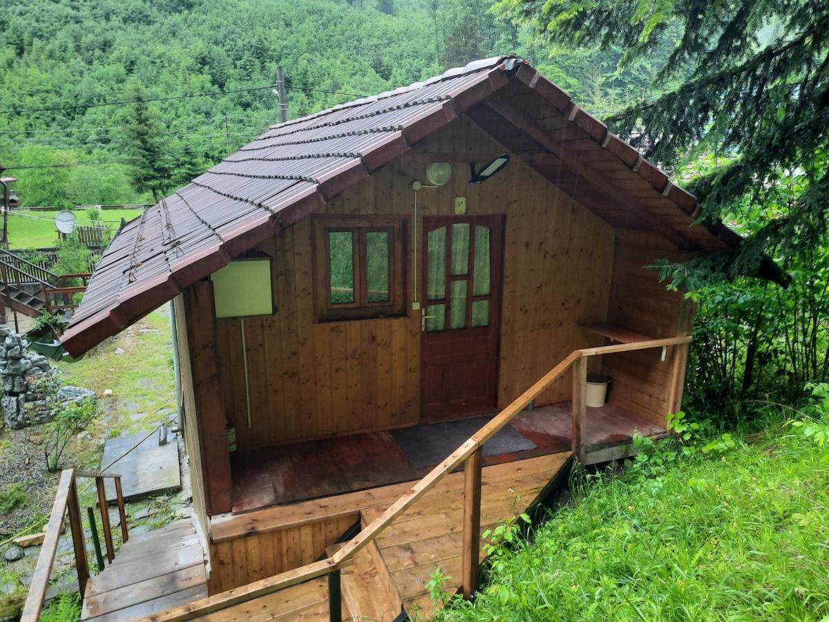 Casa Trandafirilor Hotel Cîrţişoara Buitenkant foto