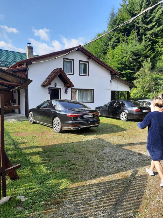 Casa Trandafirilor Hotel Cîrţişoara Buitenkant foto