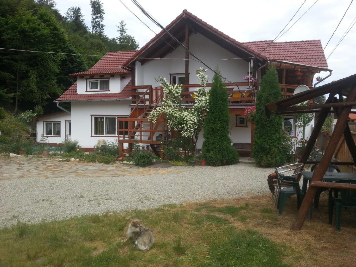 Casa Trandafirilor Hotel Cîrţişoara Buitenkant foto