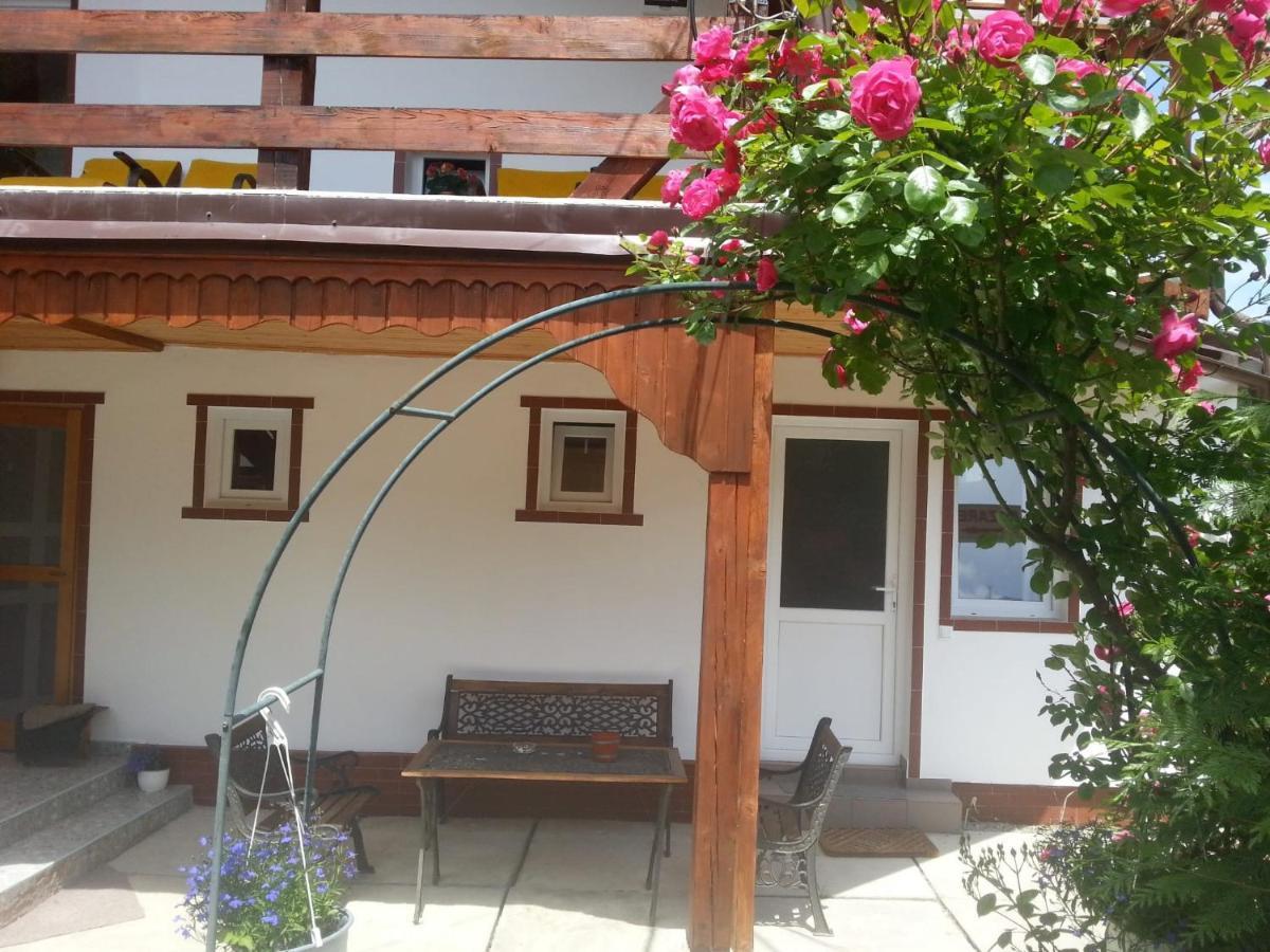 Casa Trandafirilor Hotel Cîrţişoara Buitenkant foto