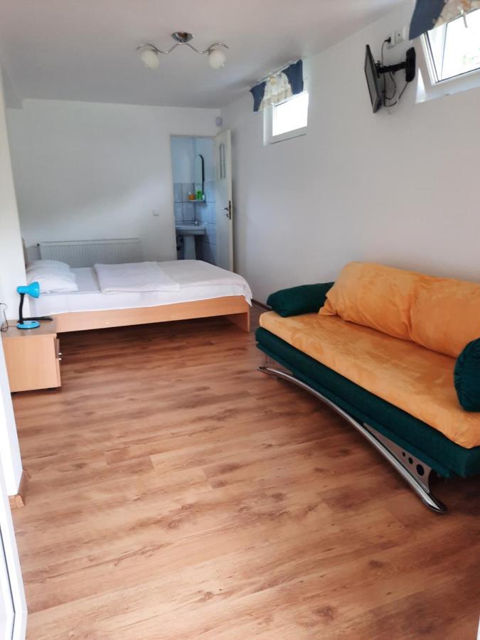 Casa Trandafirilor Hotel Cîrţişoara Kamer foto