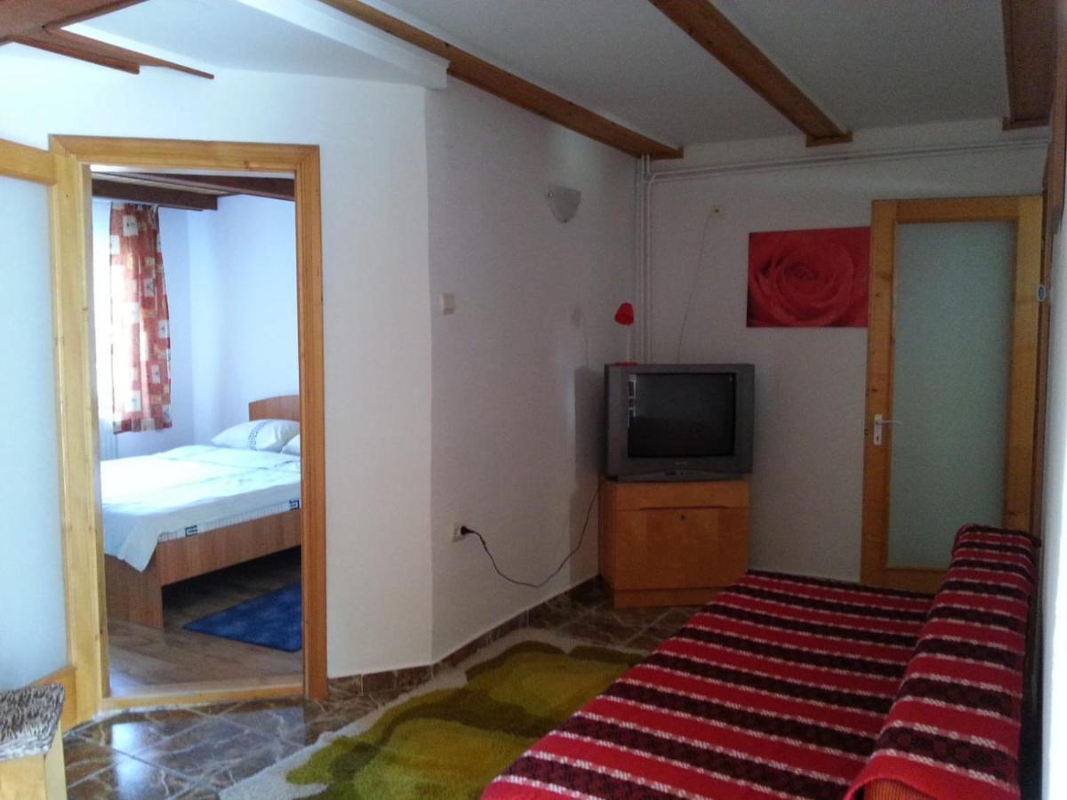 Casa Trandafirilor Hotel Cîrţişoara Buitenkant foto