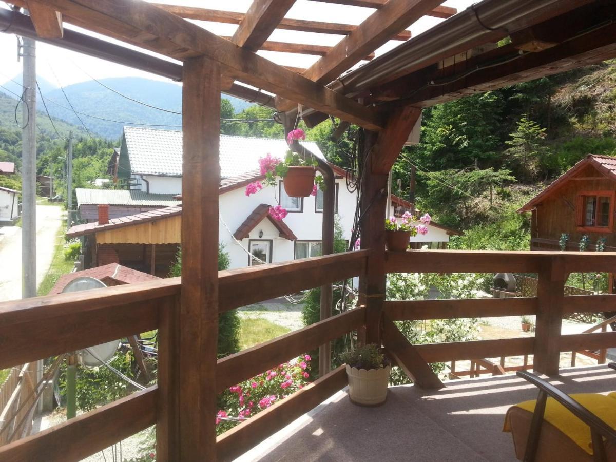 Casa Trandafirilor Hotel Cîrţişoara Buitenkant foto