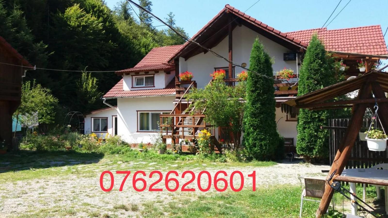 Casa Trandafirilor Hotel Cîrţişoara Buitenkant foto